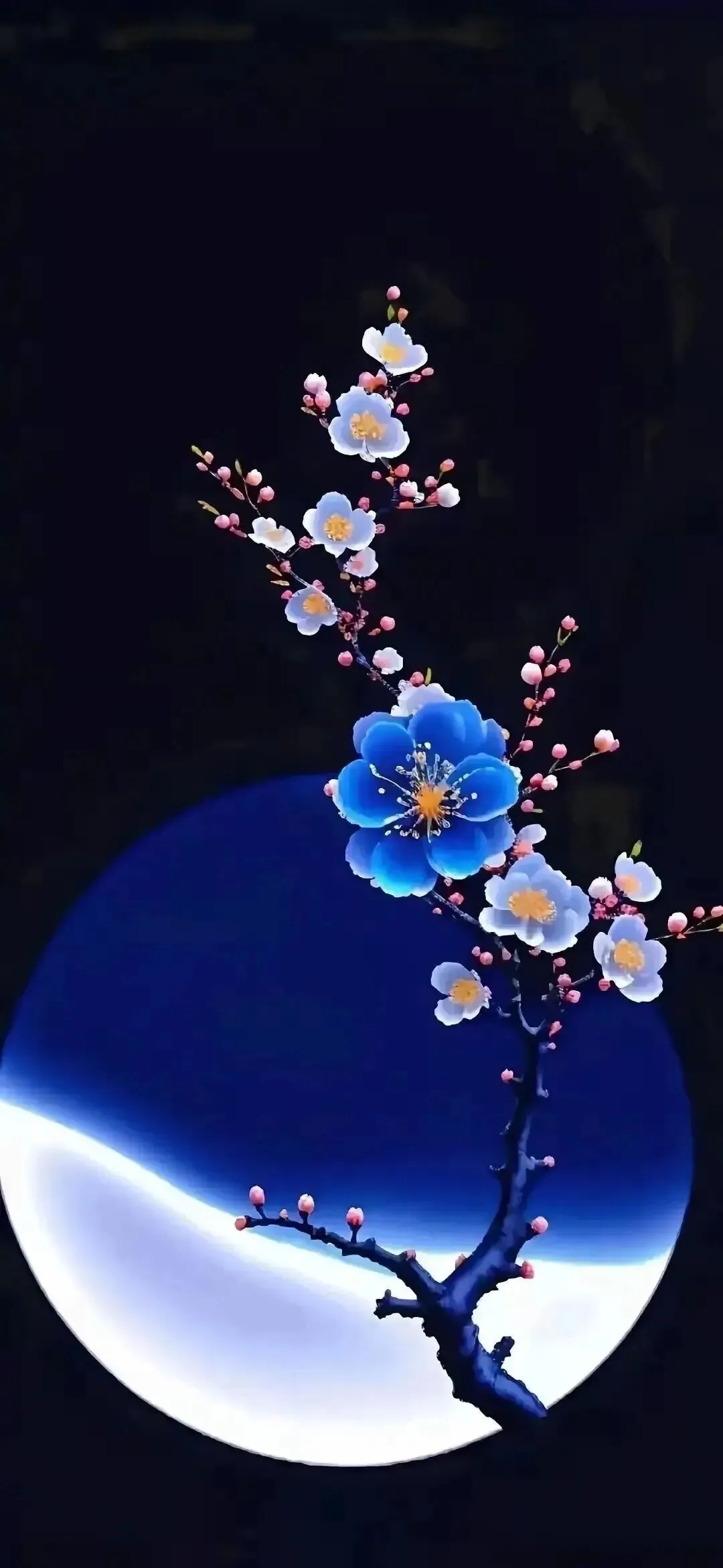 经典英文歌曲,分享给大家.Emilia -【 Big Big World 】