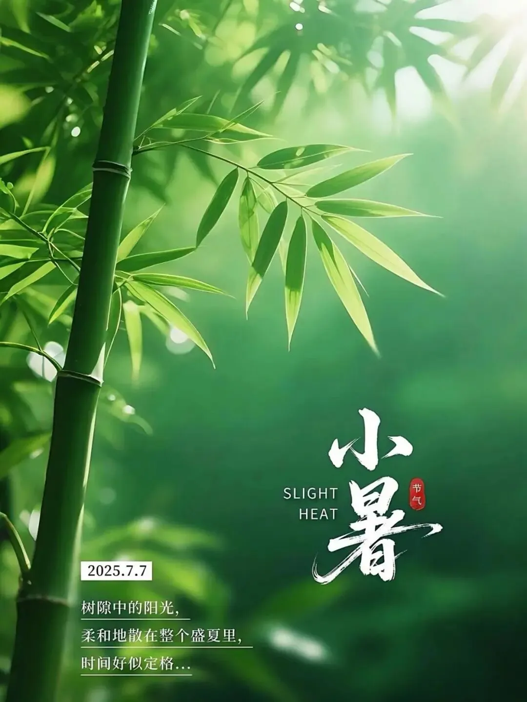 张天明(吉林):水调歌头 小暑吟(毛滂体 新韵)(外一首)
