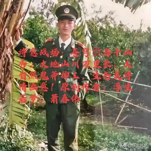 《人生几何,对酒当歌.伊若安好,便是晴天.》