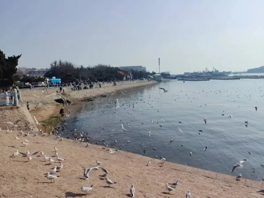 有没有一首歌让你心情舒畅