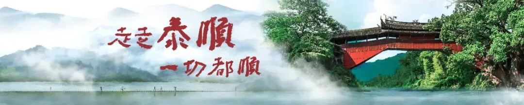 什么是“彩茶五曲”?泰顺把一首老歌的灵感做成了茶