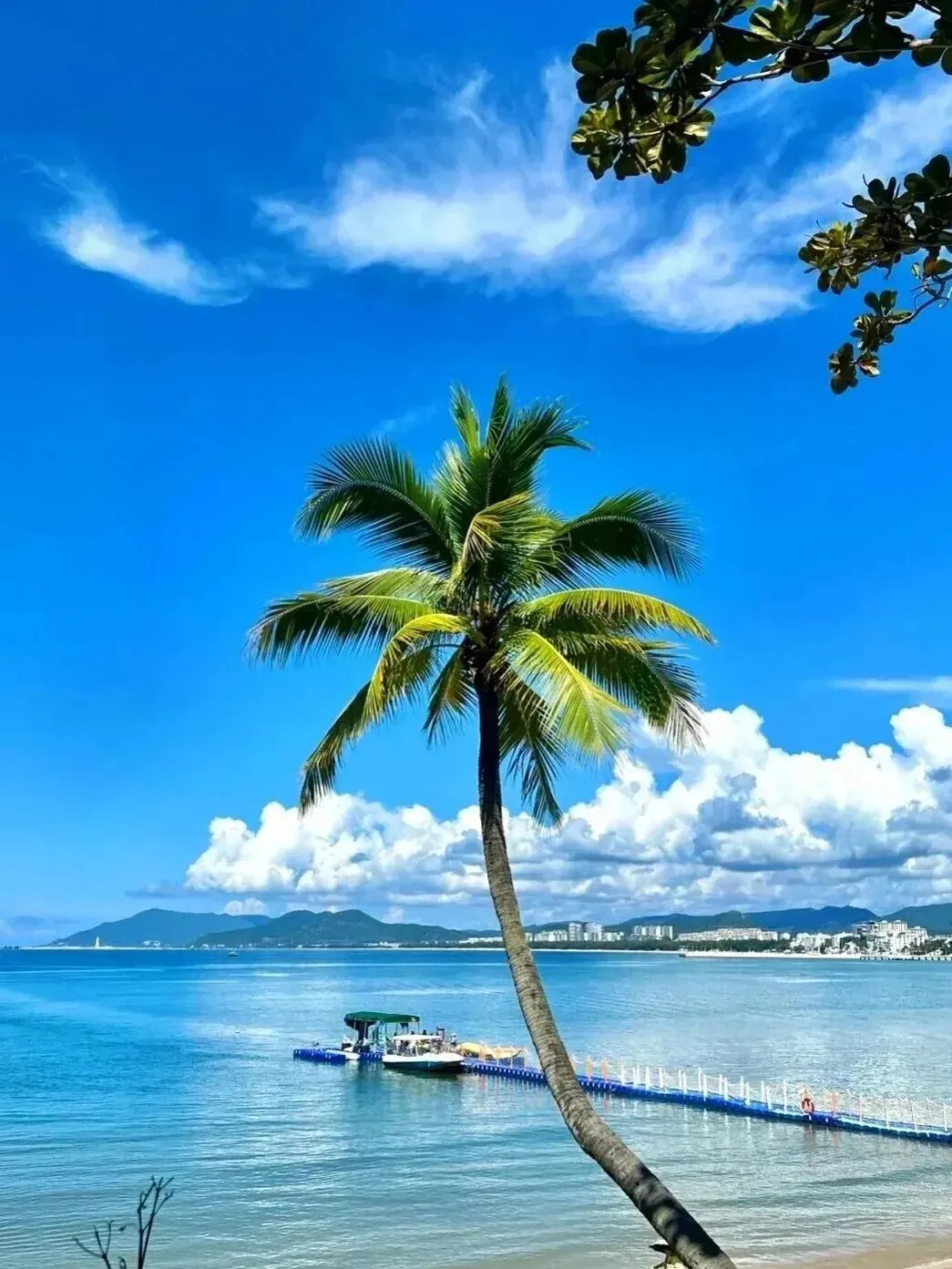 大美城歌||《这片海》