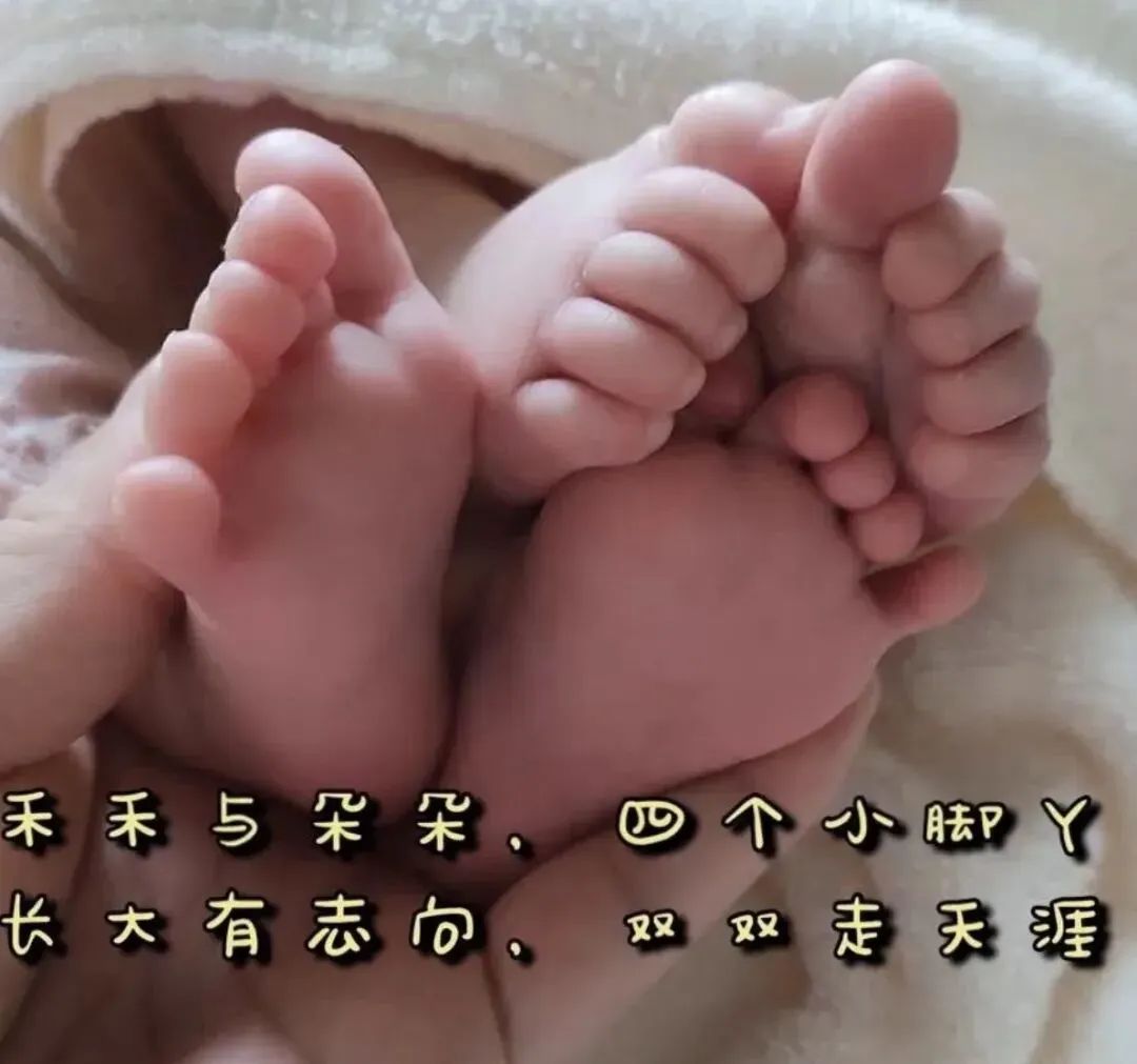 请AI做首歌