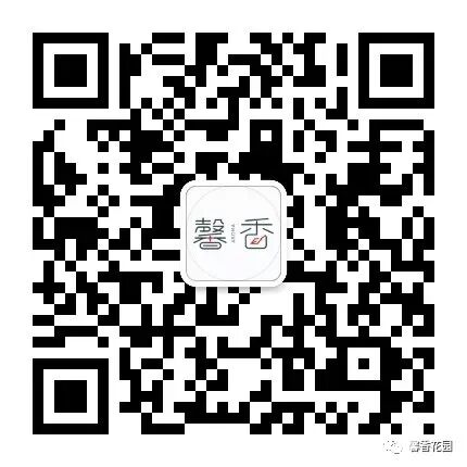 《海边的祈祷》歌曲背后的故事
