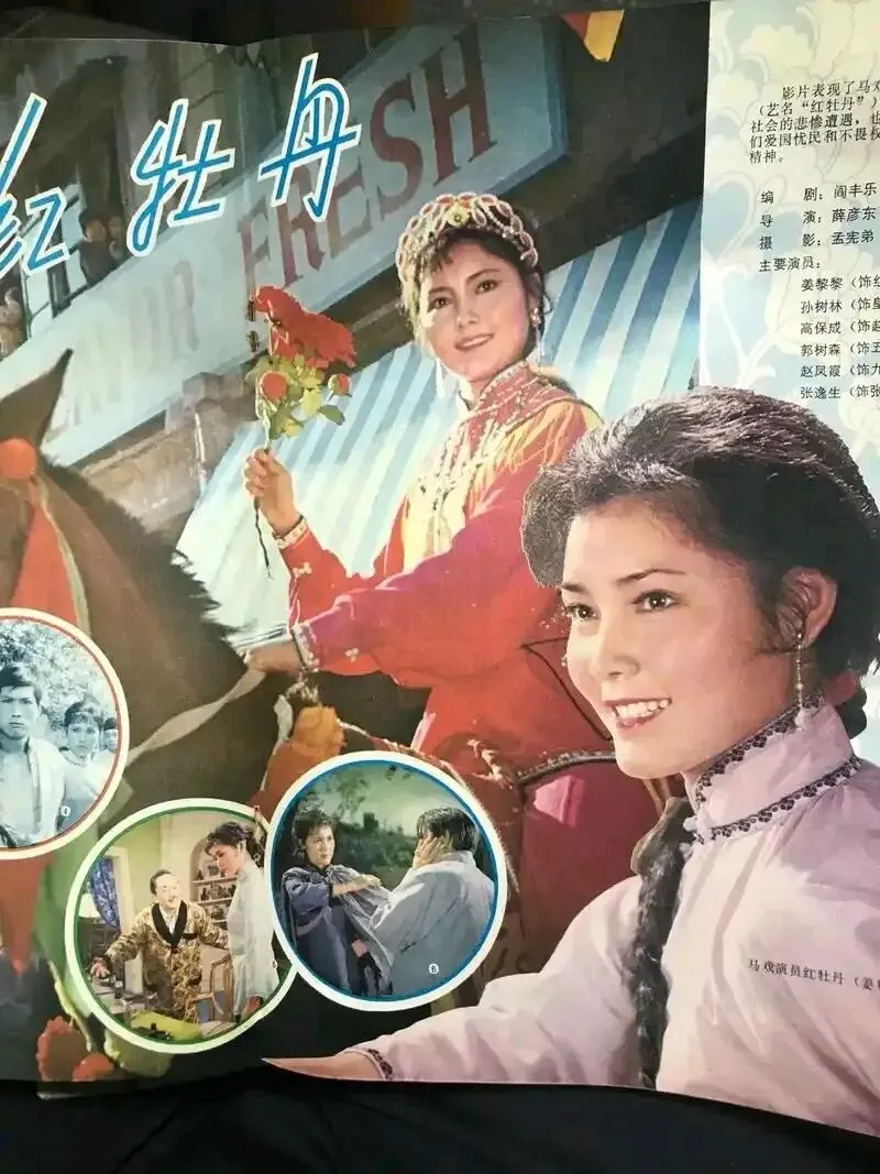 经典老歌《牡丹之歌》,一代人永不褪色的回忆
