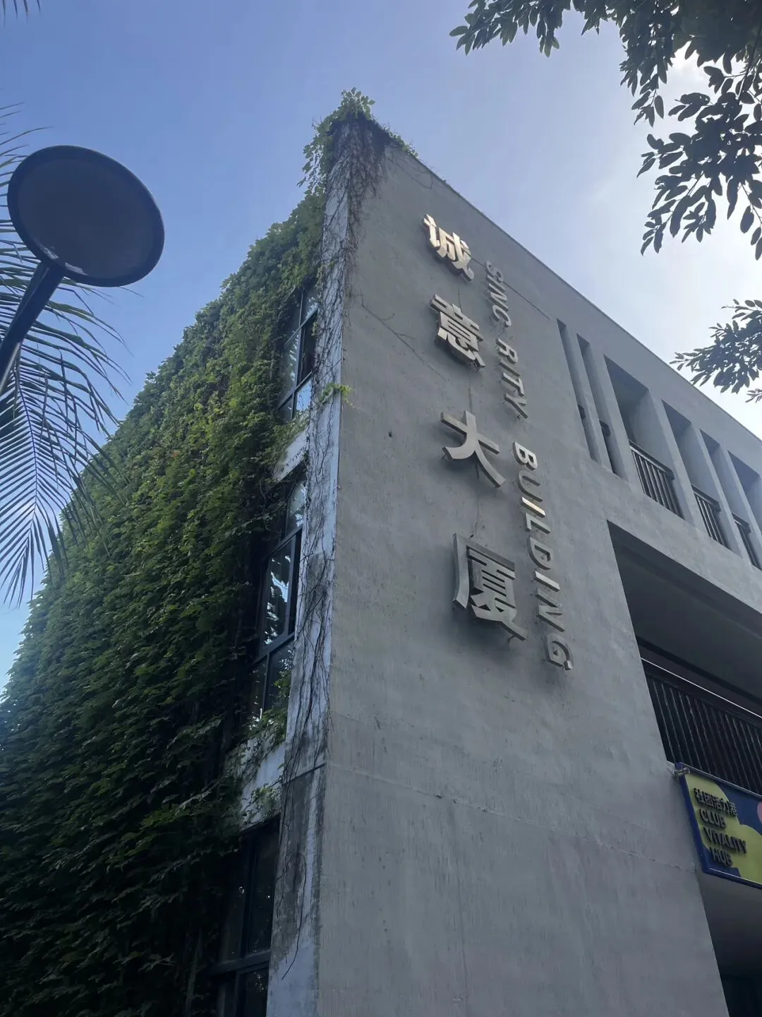 盛夏里的一首老歌