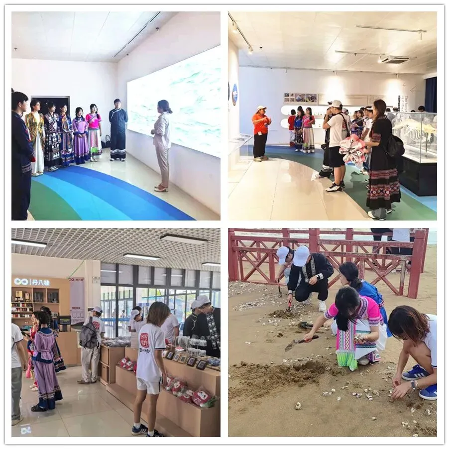 环境清洁、海歌传唱、白海豚科普……大学生走进三娘湾体验别样的研学实践之旅