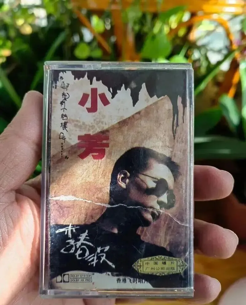 80首老歌名出现在同篇文章中,会是什么感受?