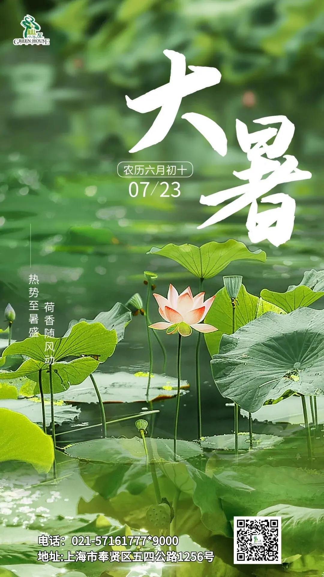 大暑 | 蝉歌嘹亮,夏意正浓
