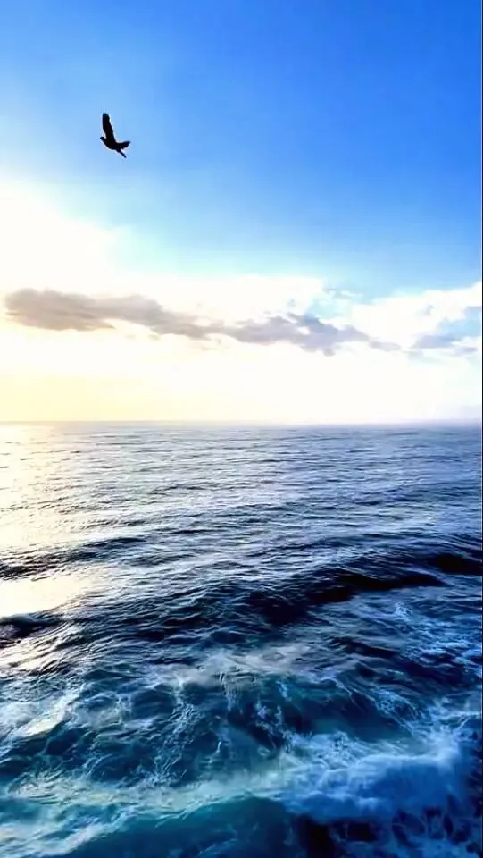 经典老歌 | 高胜美《哭砂》,开口就是满满的回忆
