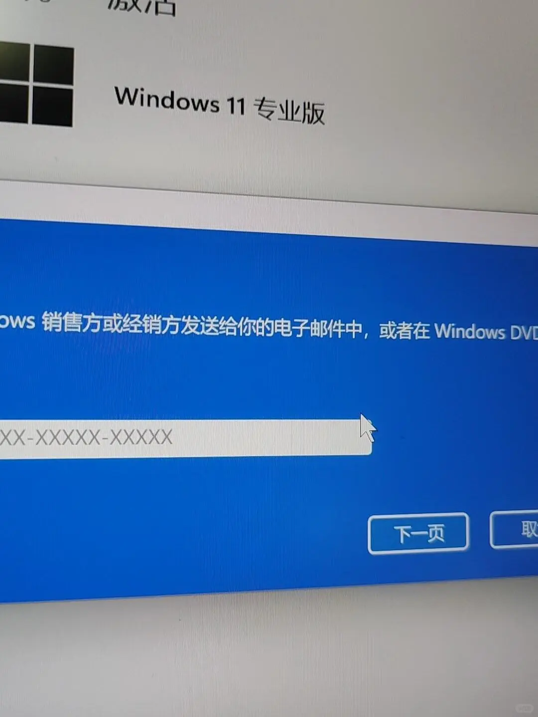 win11专业版也可以永久激活了