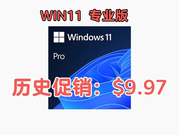 Windows 11 Pro,