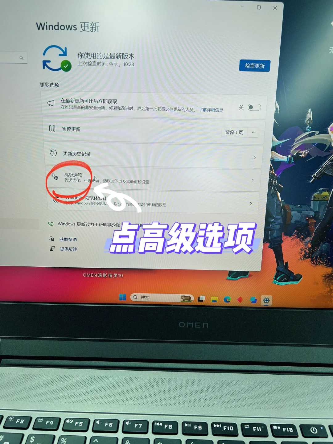 小惠教你恢复Win11系统😎