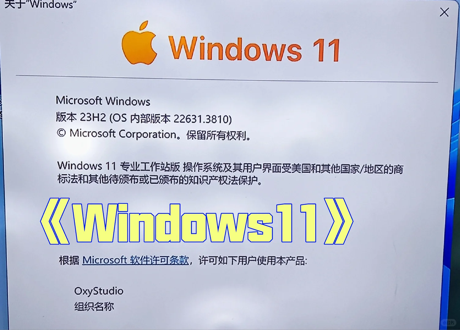 《真·Windows11》
