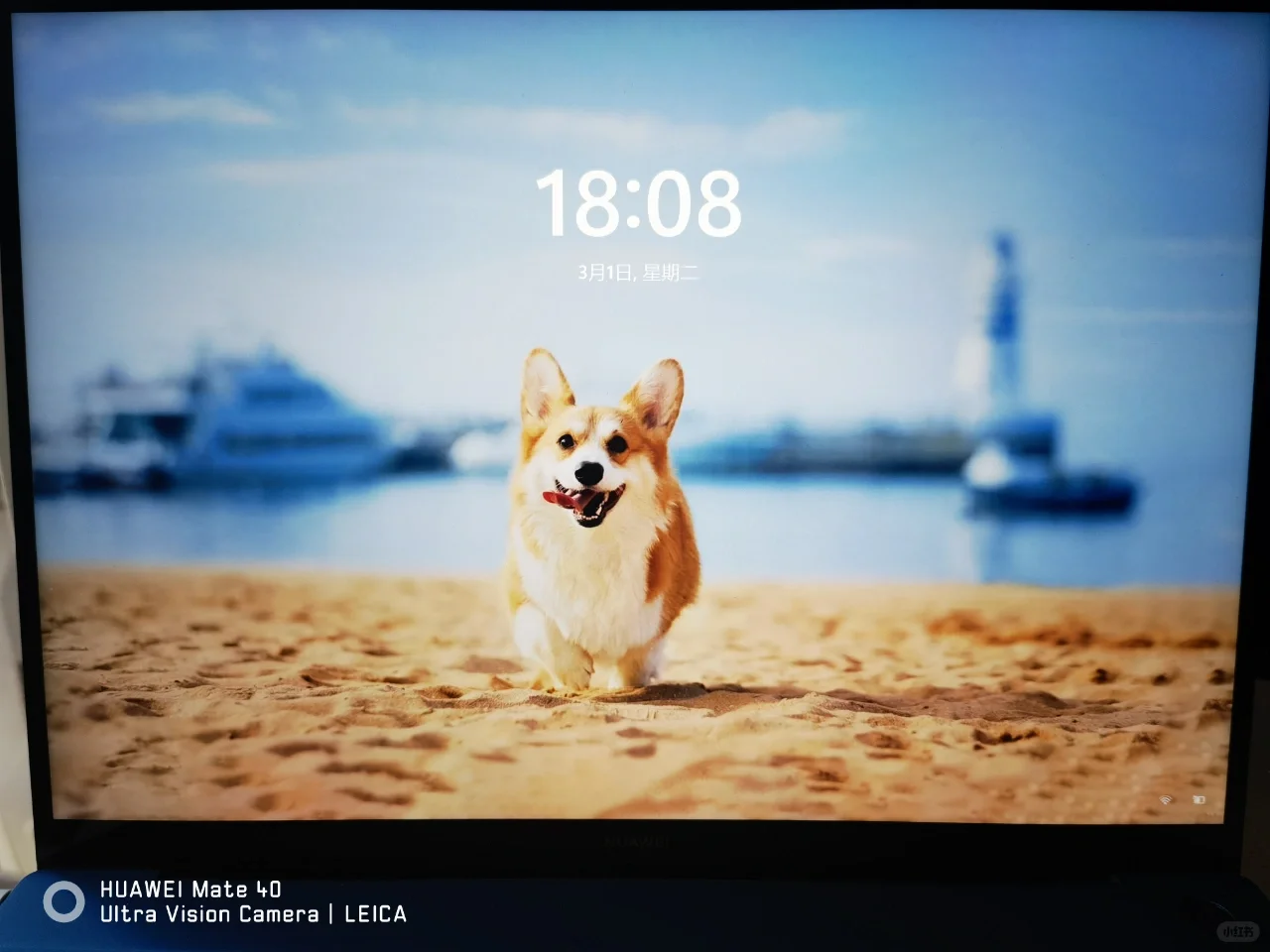 🇨🇳Windows 11更新