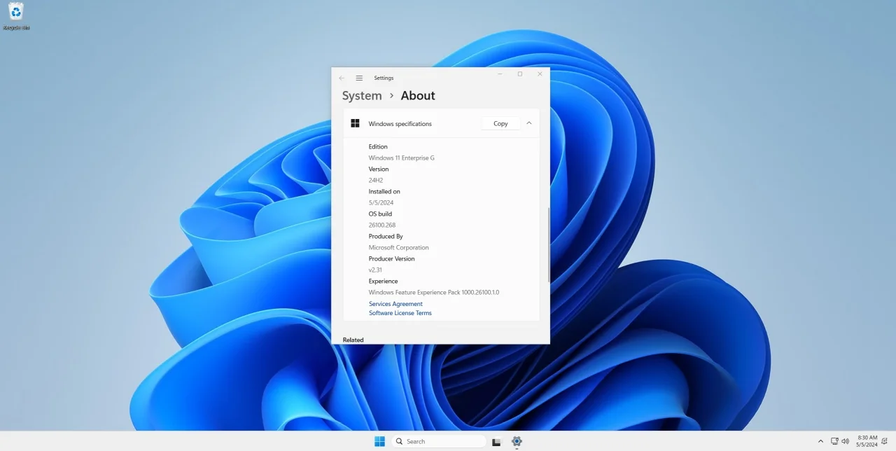 什么是Windows 11政府版，为什么不要使用