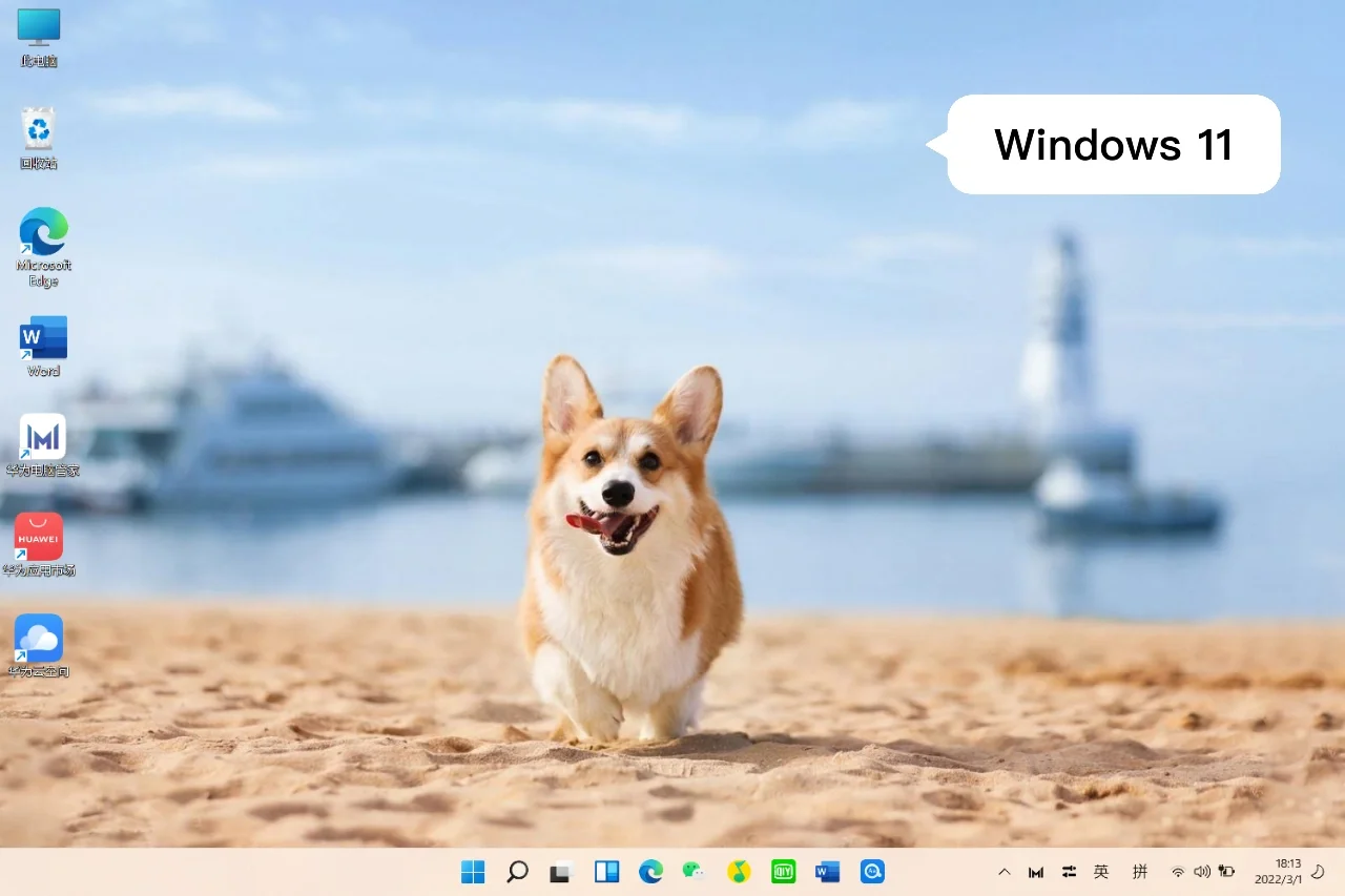 🇨🇳Windows 11更新