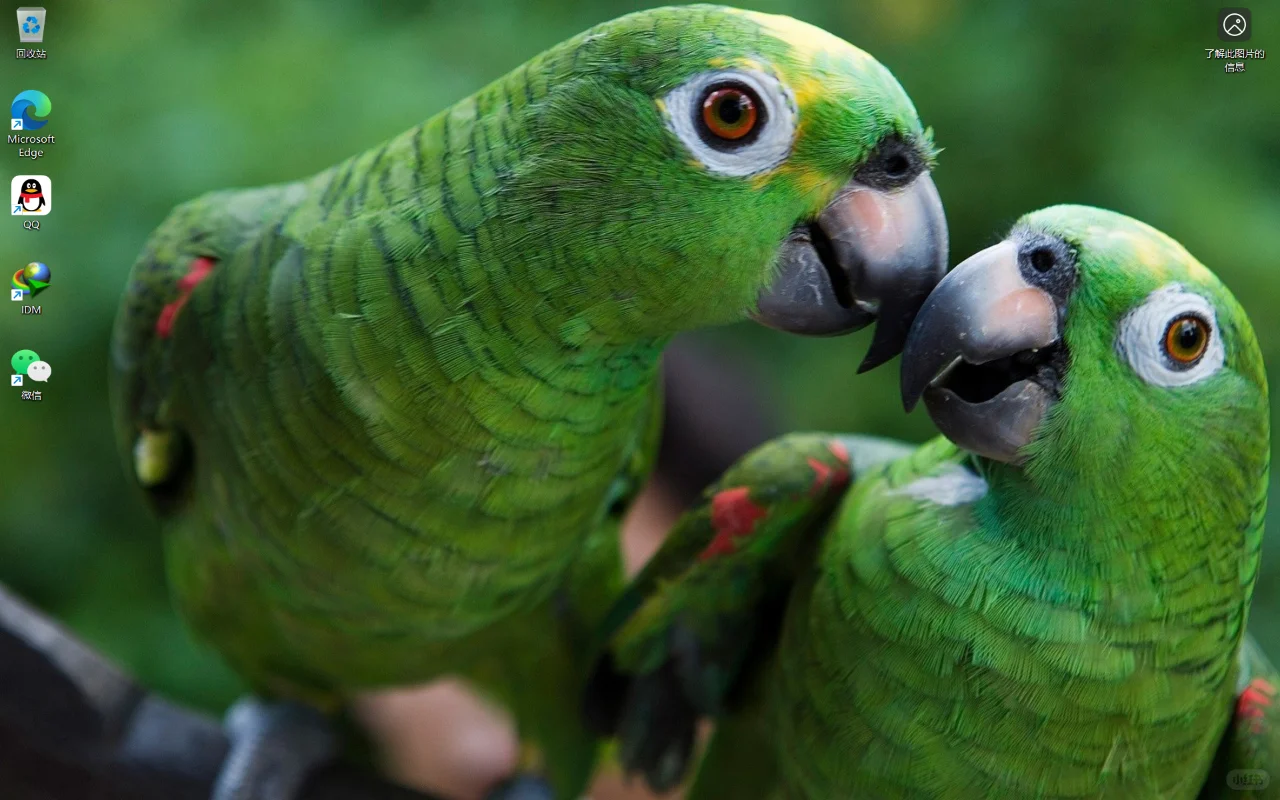 刚重装好的windows11专业版真干净