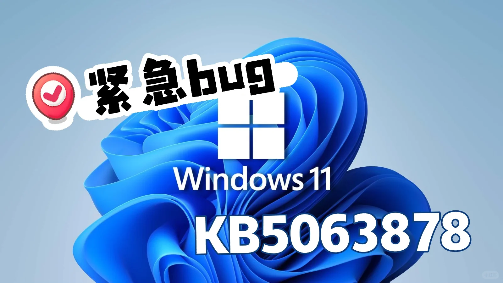 注意啦❗️Win11 又又又又来Bug了,硬盘变砖?