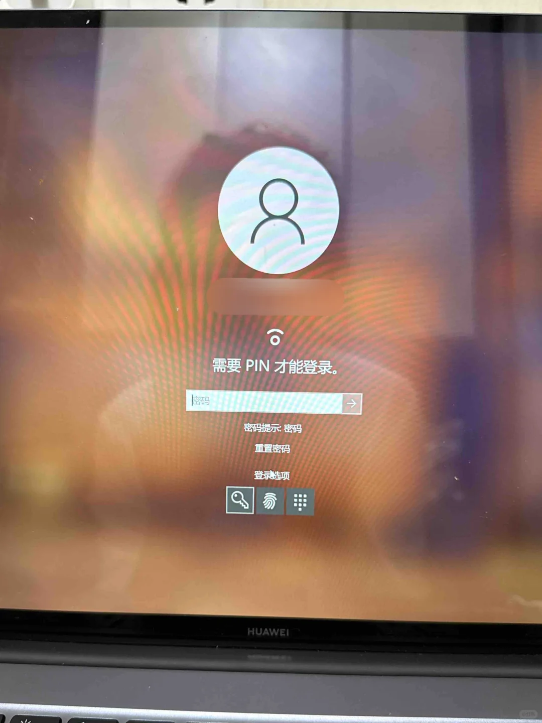 电脑密码忘记不用慌