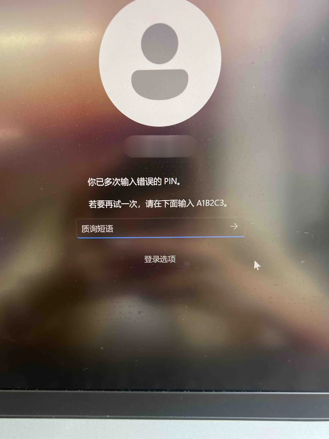 电脑密码忘记不用慌