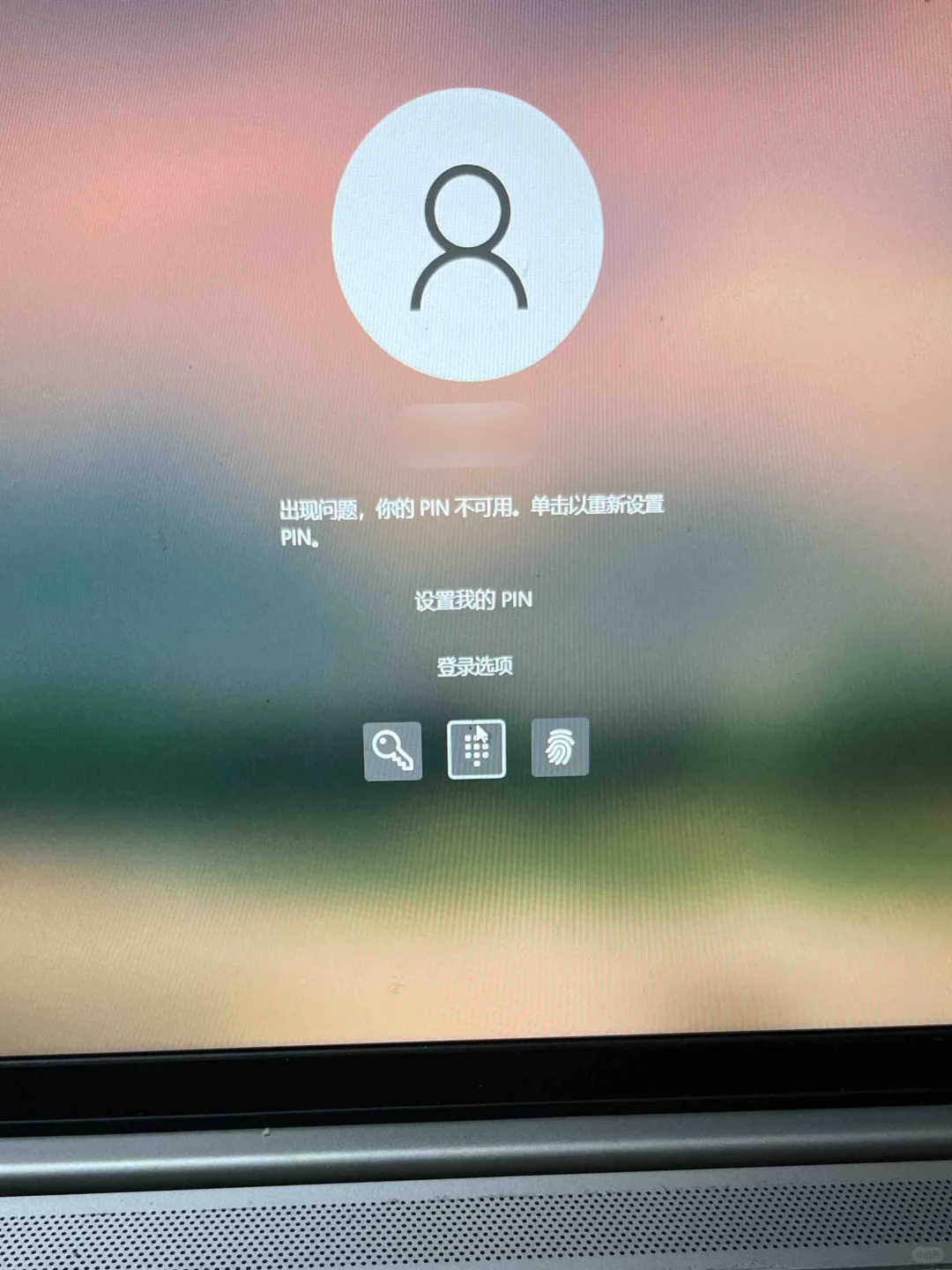 电脑密码忘记不用慌