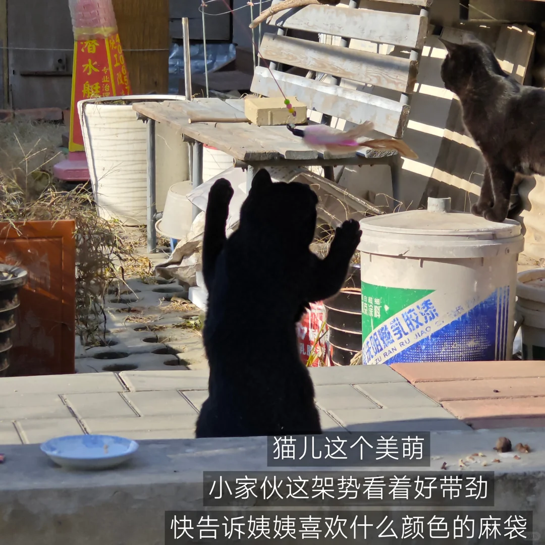 猿辅导实习|3个工具让实习幸福感up✨