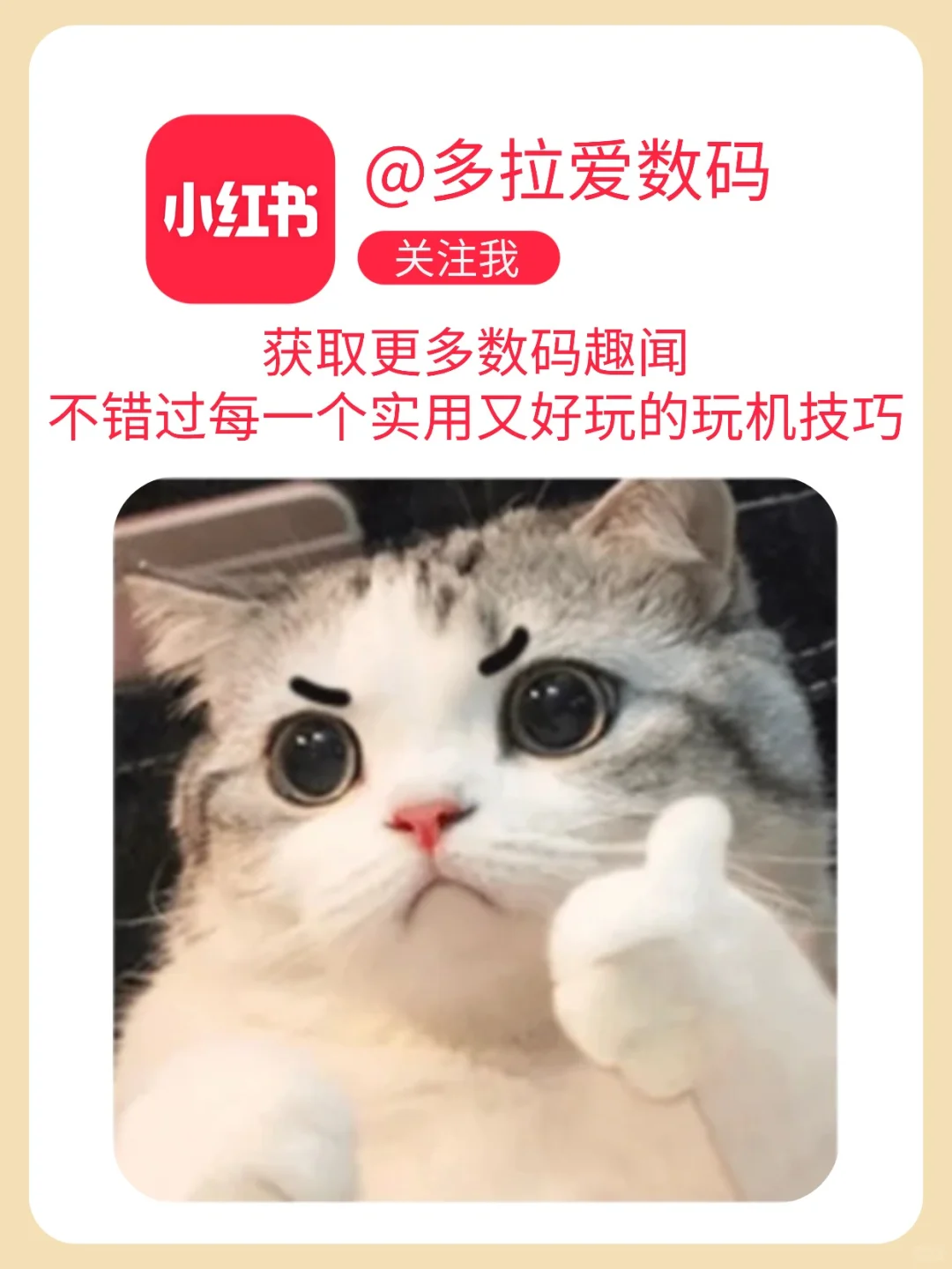 哇喔❗️扫盲❗️基操❗电脑小白必看！全面扫盲版