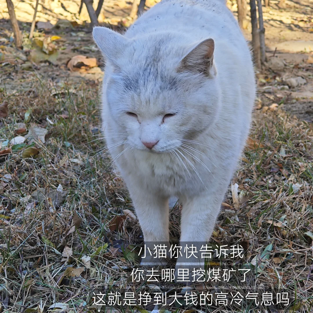 猿辅导实习|3个工具让实习幸福感up✨