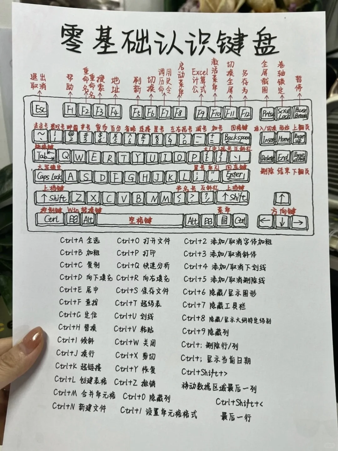 爆赞🔥初学者怎么学打电脑的键盘方法📚