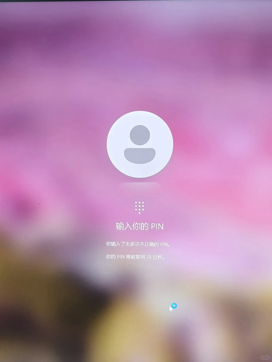 电脑密码忘记不用慌