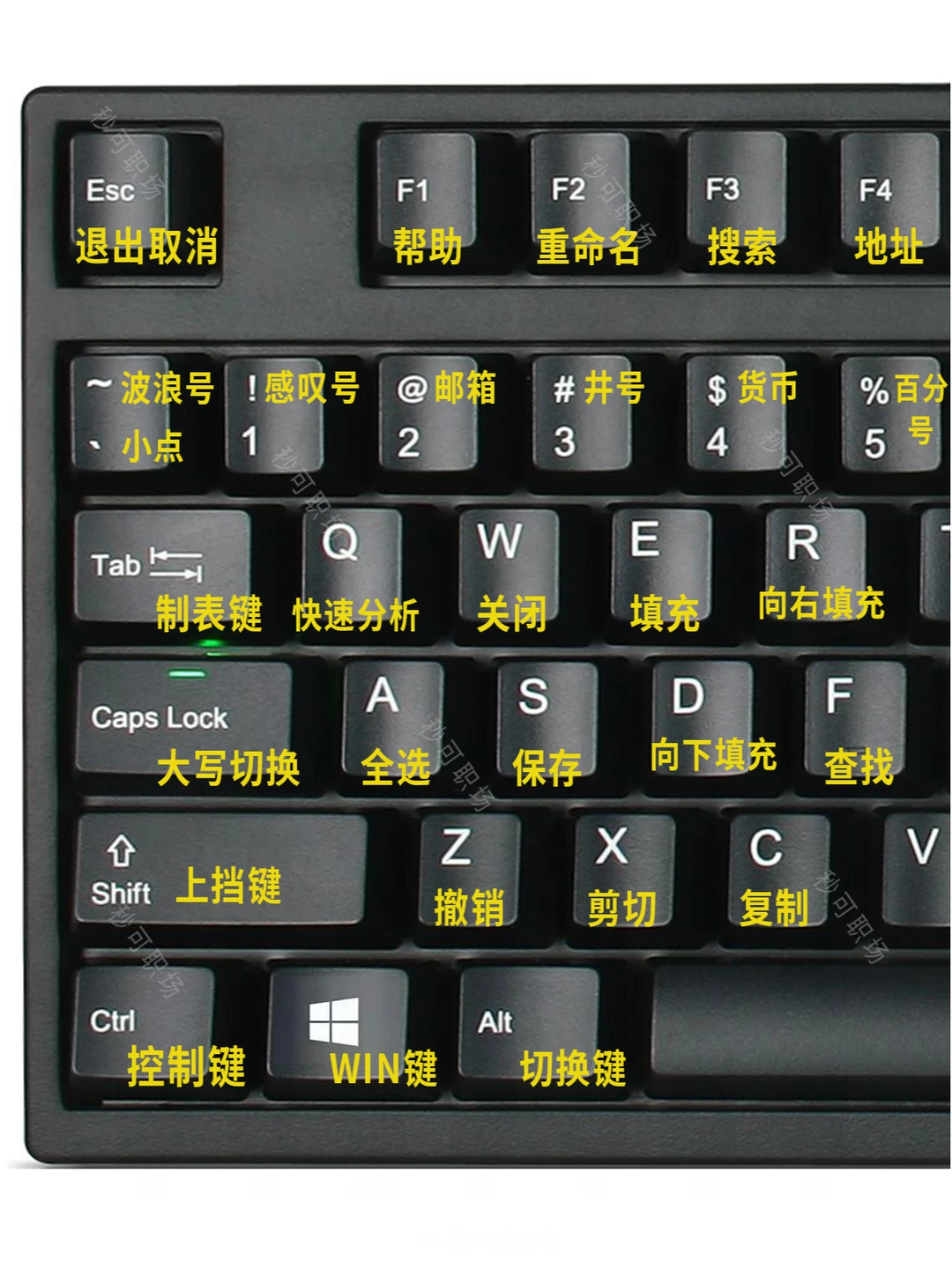 哭了😭为什么刚开始学电脑时没人告诉我！