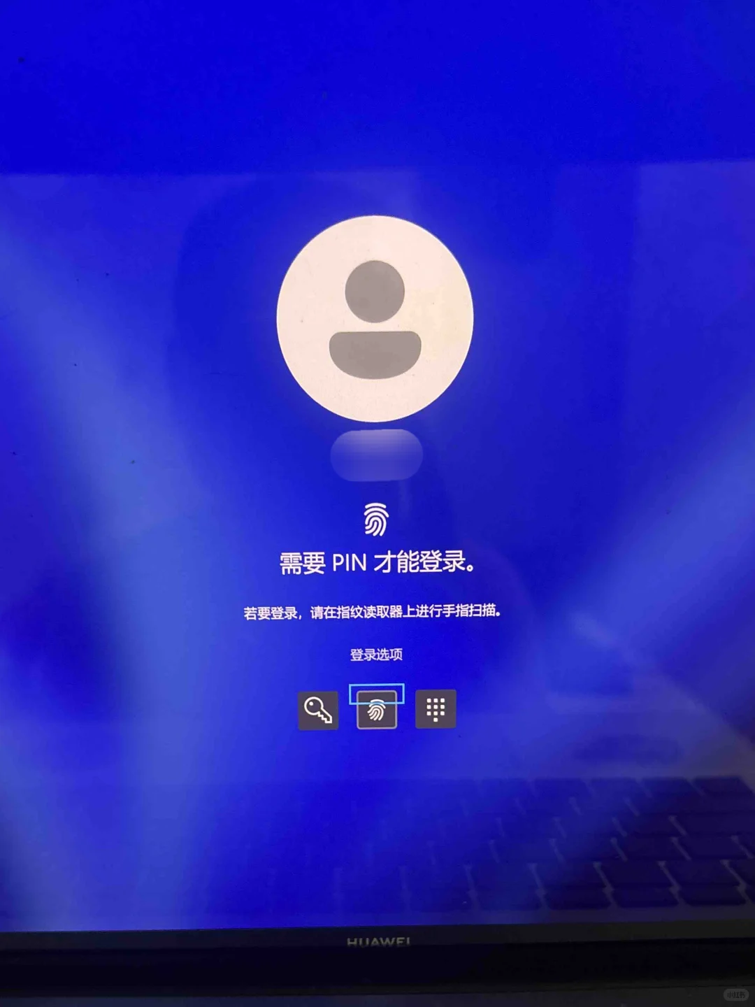 电脑密码忘记不用慌