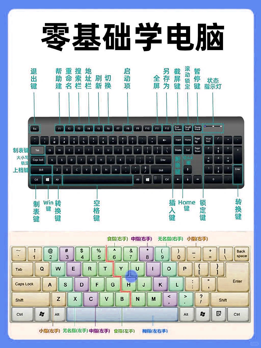 零基础学拼音打字办公软件⌨️先认识键盘