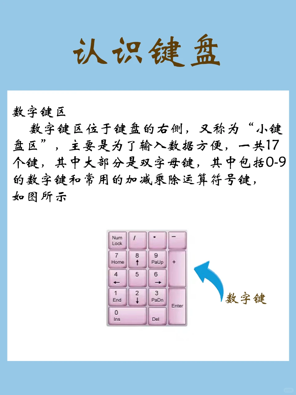 学好office办公先从认识键盘开始🔥