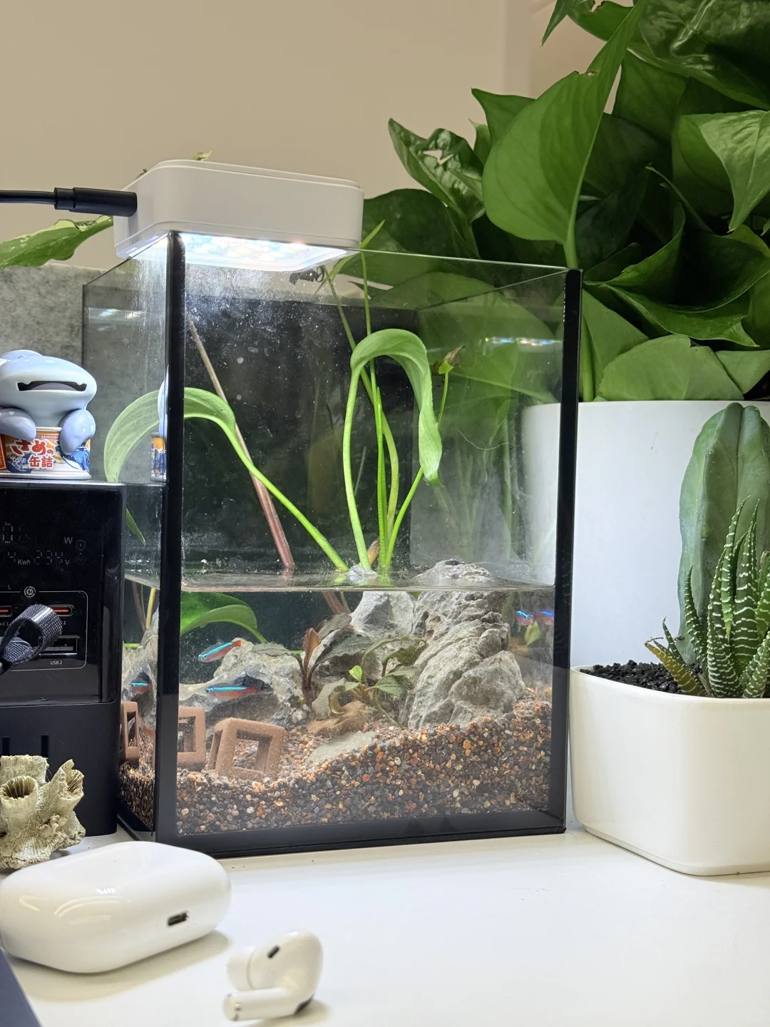 办公党狂喜!工位改造成「护眼宝地」👀