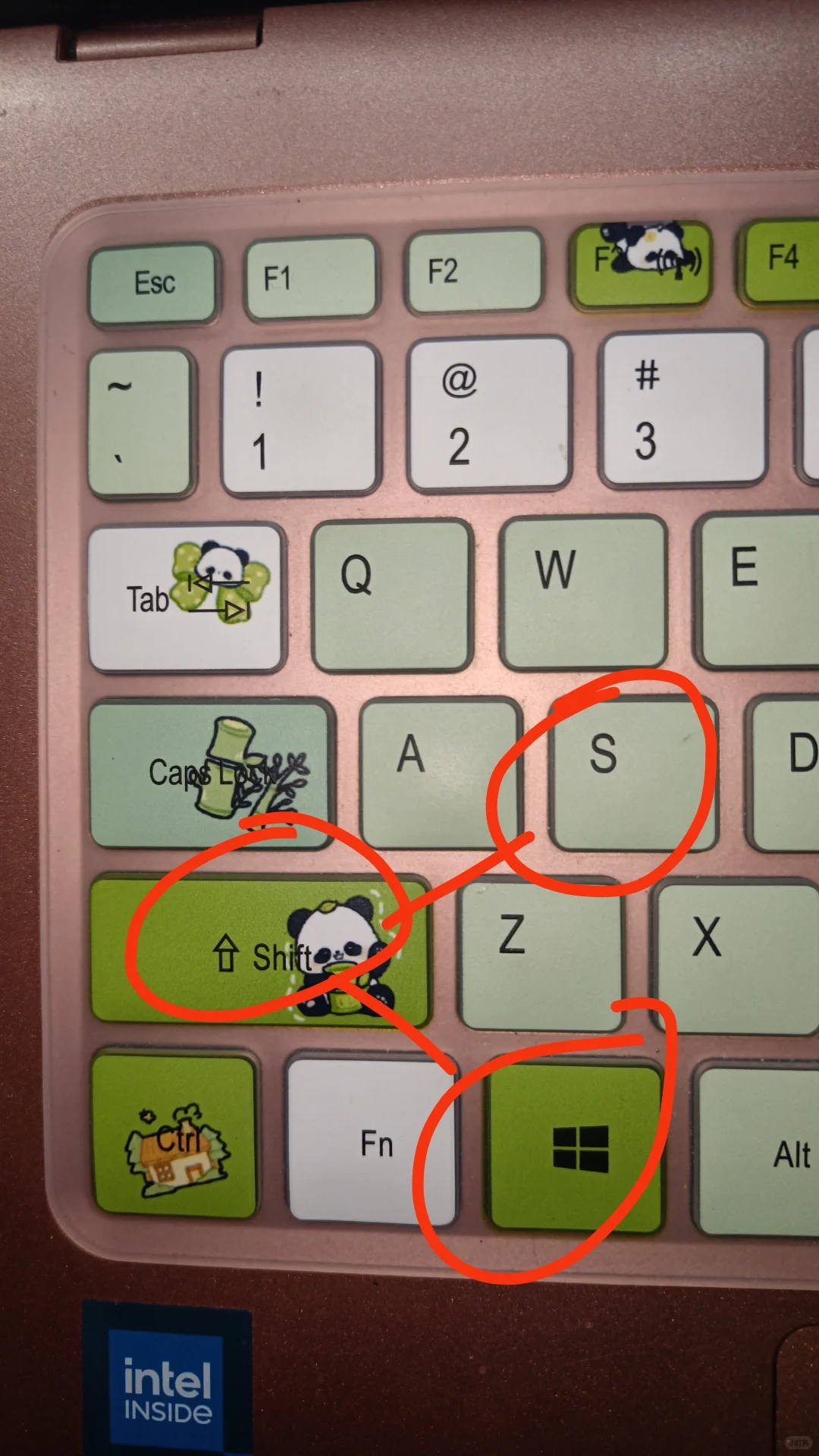 感谢小红书教我学电脑