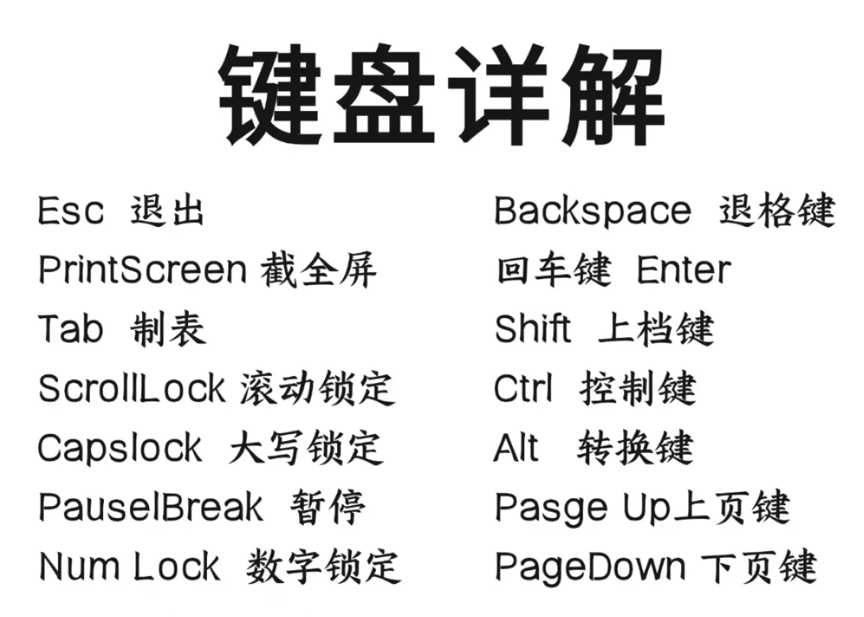 小红书真能学到东西，办公必备电脑基本操作