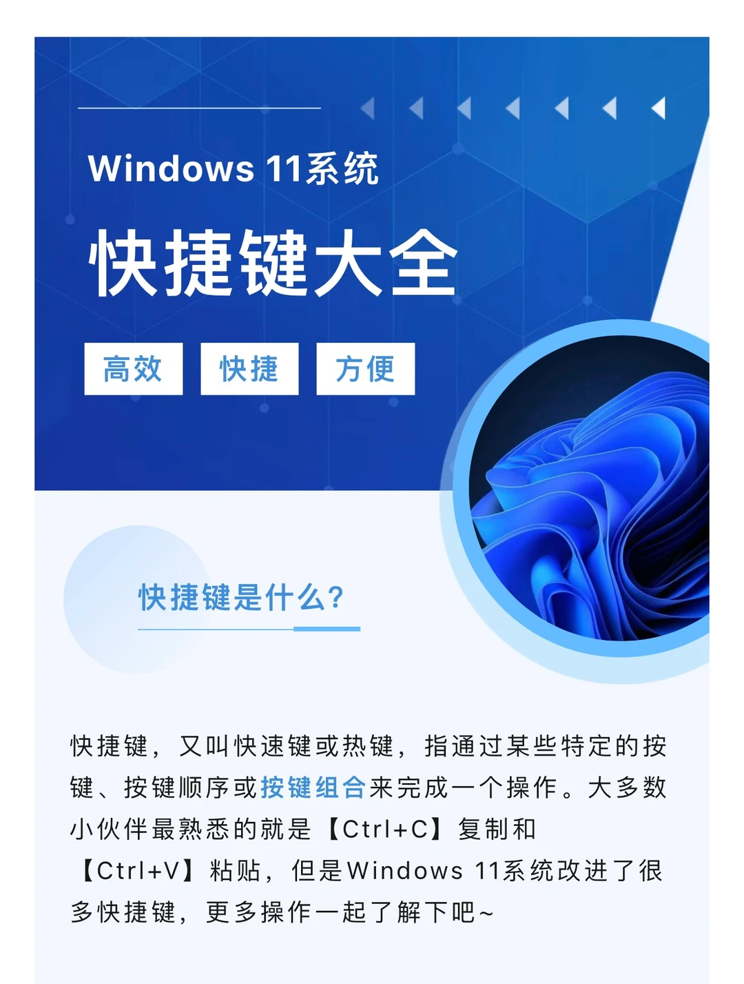 Windows11系统🤩快捷键大全🤩高效快捷方便