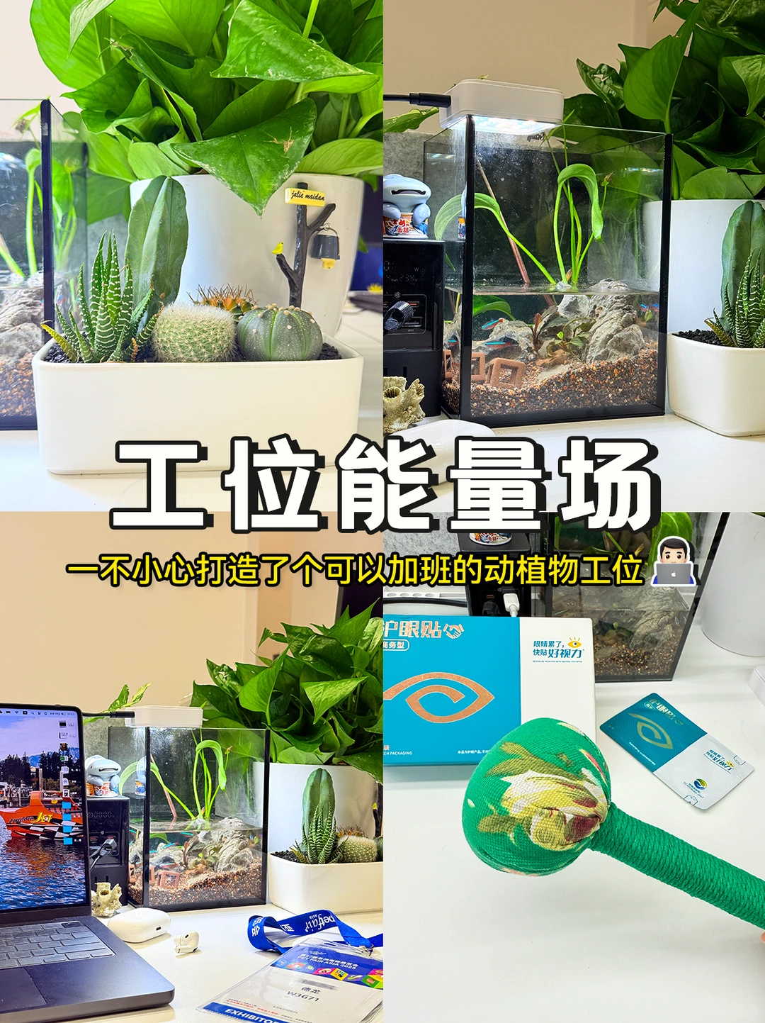 办公党狂喜!工位改造成「护眼宝地」👀