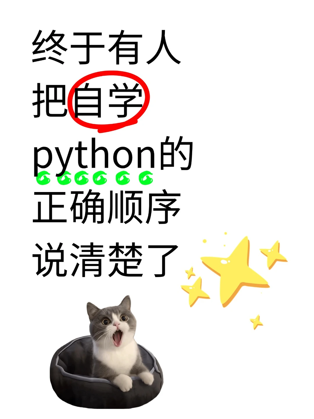 终于有人把自学python的正确顺序说清楚了!