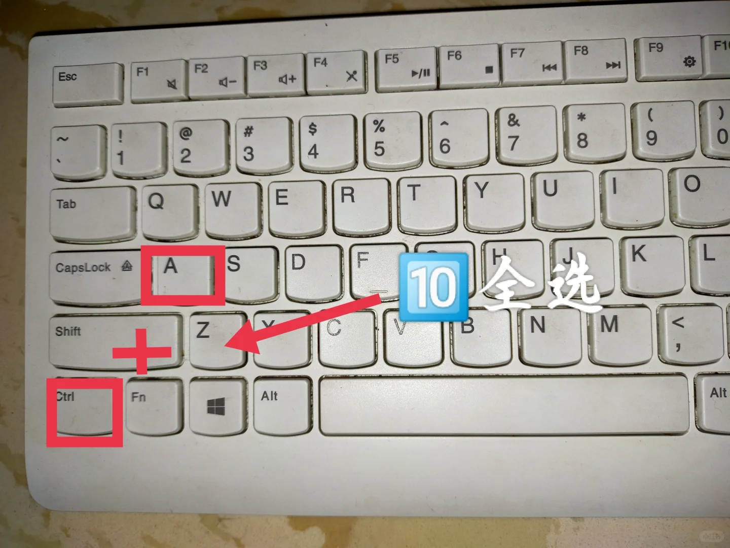 电脑太卡上网学到了真东西！