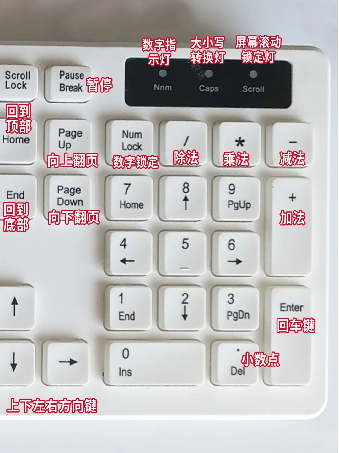 🖥️电脑技巧大放送!效率翻倍不是梦!