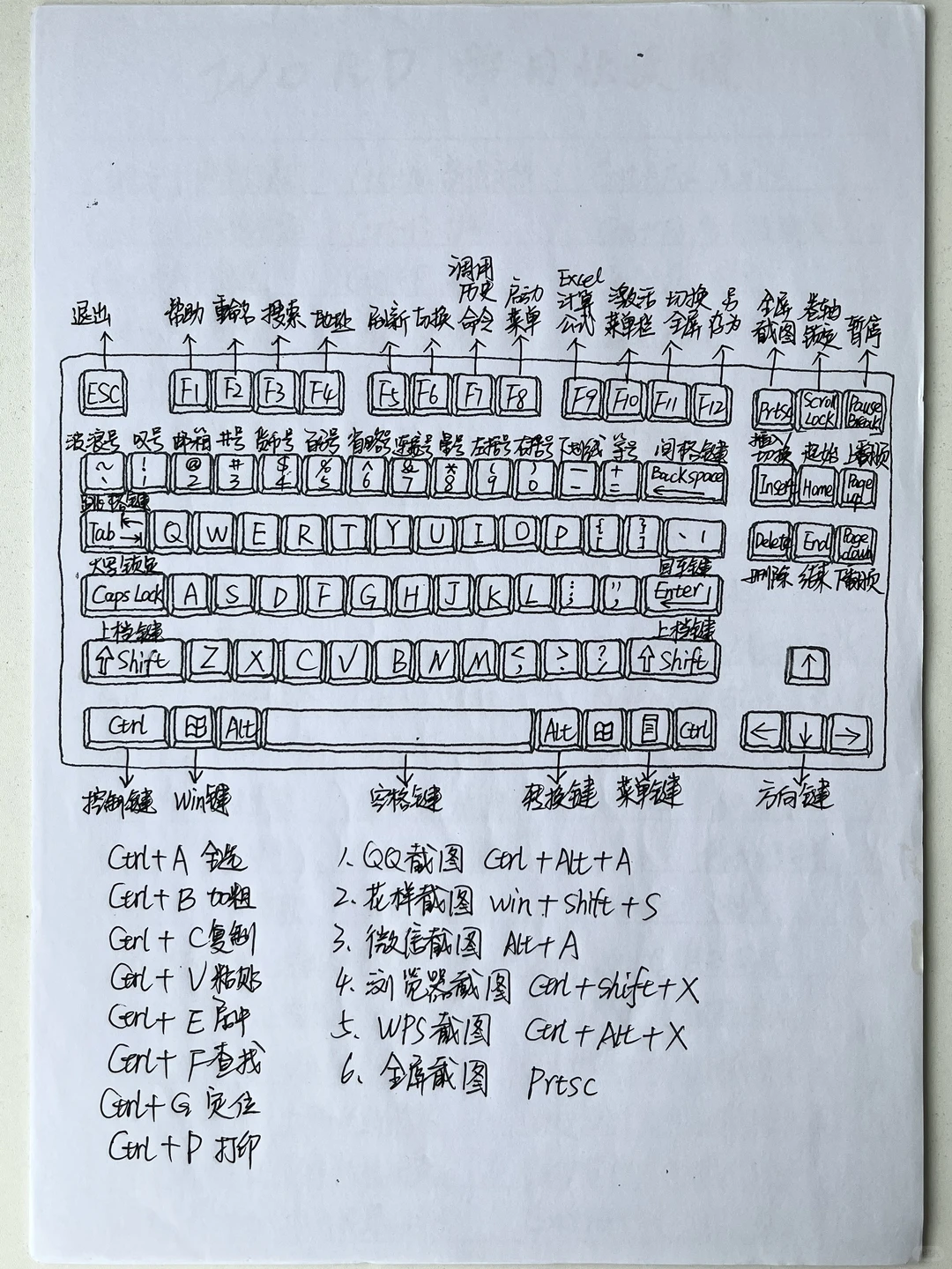 电脑常用快捷键大全，让你省时省力做Excel