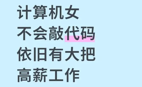计算机女不会敲代码依旧又大把高薪工作干