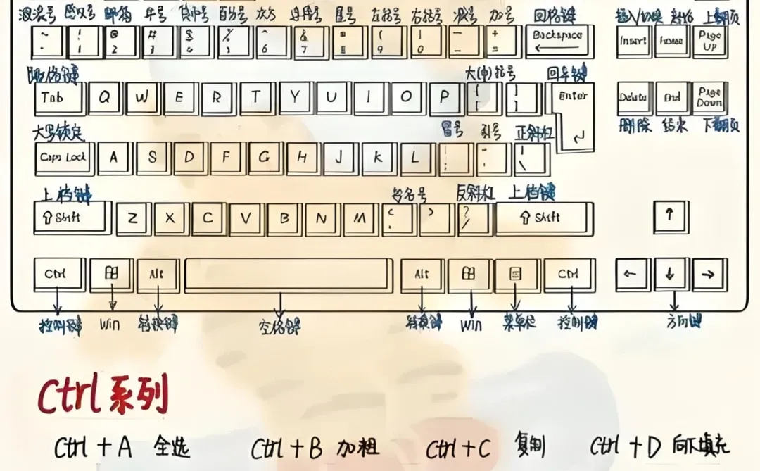 电脑键盘功能基础知识