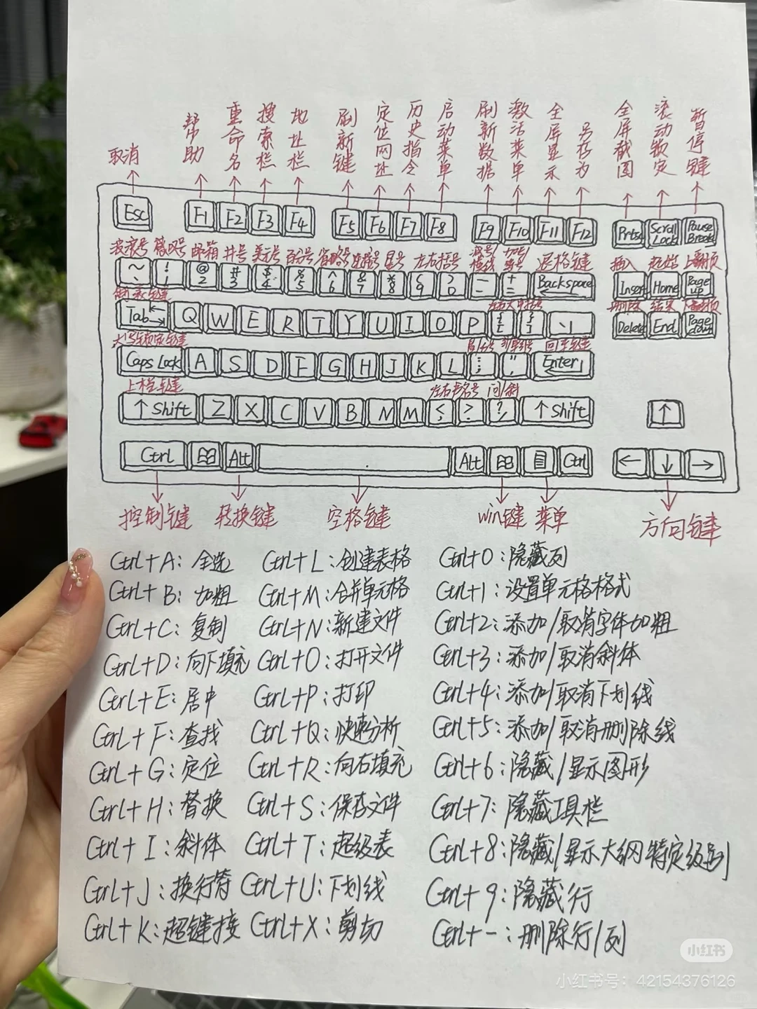 财务出纳会计应该必备的技能