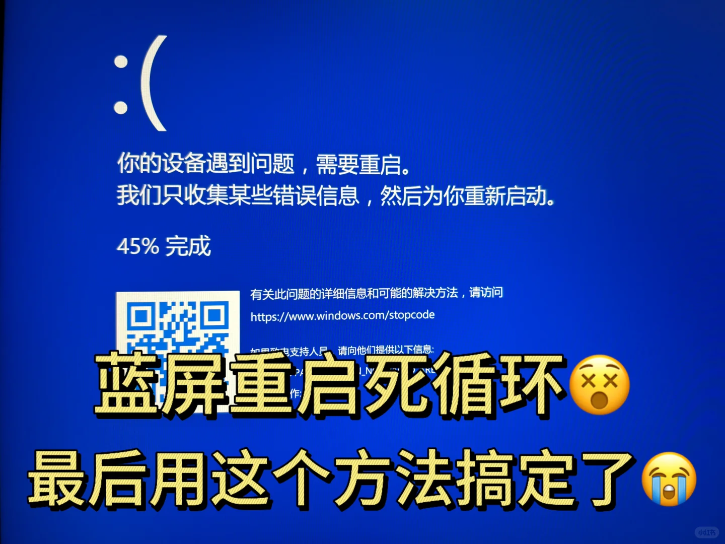 果然还是逃不掉Win11蓝屏的魔咒🫠