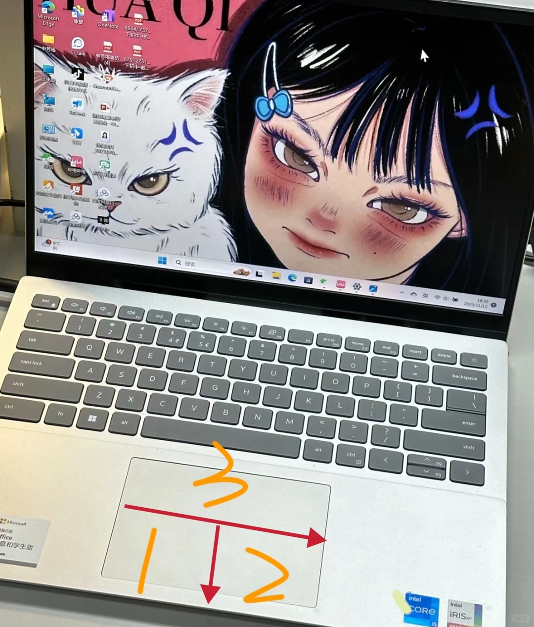 不会还有人不会电脑触碰板吧？快来学