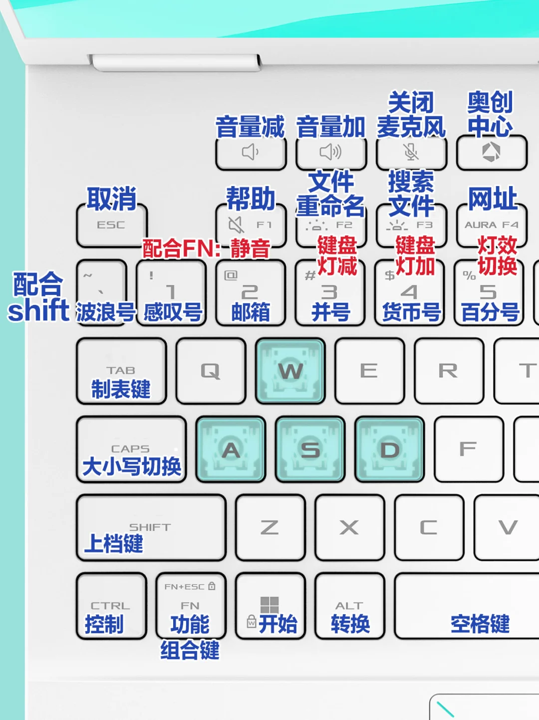 速存！超详细的天选6Pro全键盘教学